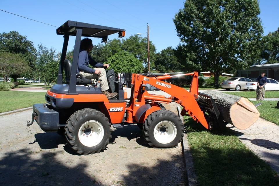 Carrying Big Tree Branch — Sorrento, FL — Windsor & Son Tree Service