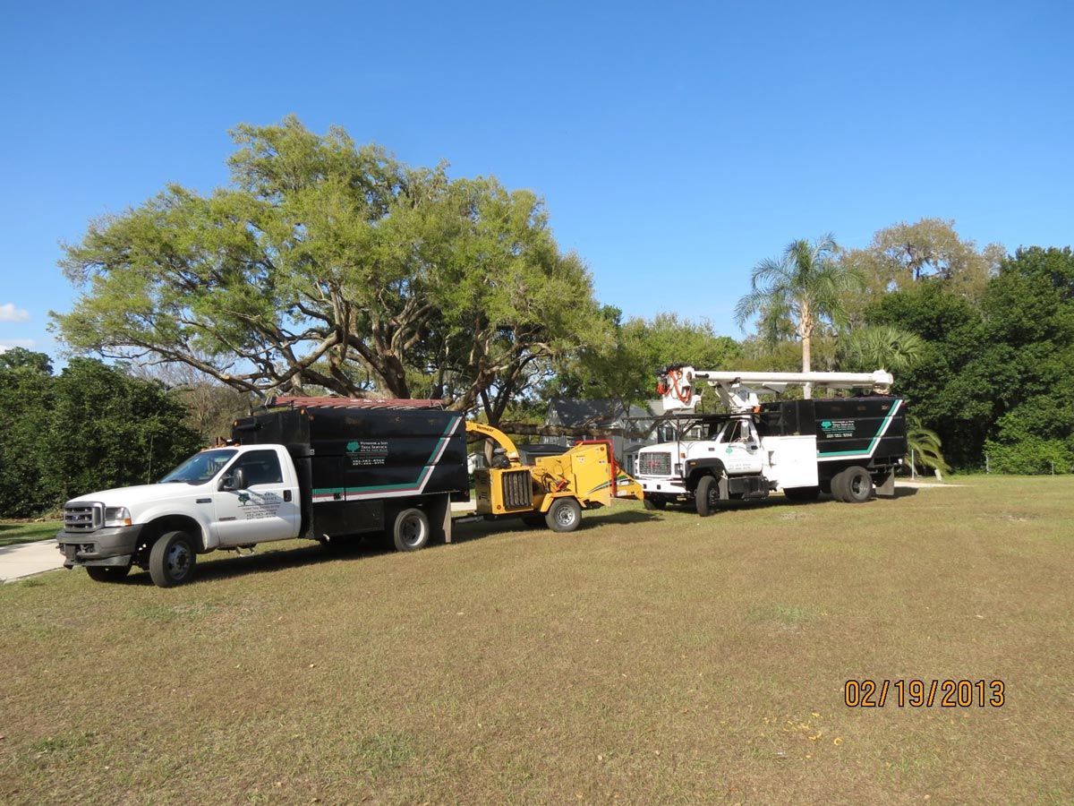 Tree Service Trucks — Sorrento, FL — Windsor & Son Tree Service