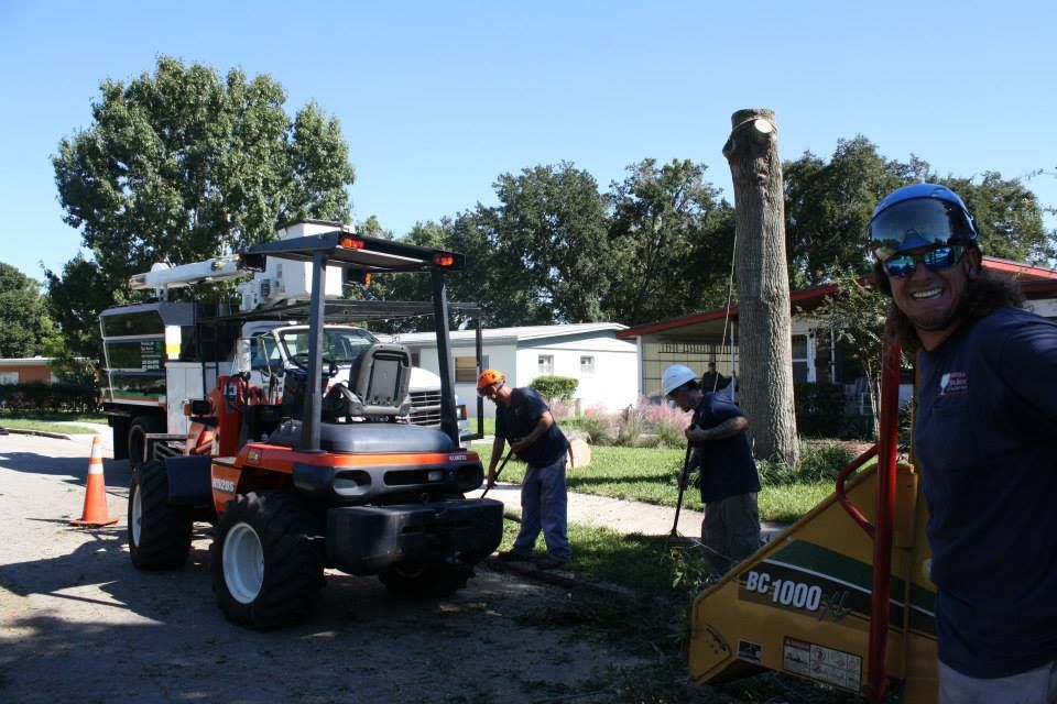 Men Cleaning Tree Leaves — Sorrento, FL — Windsor & Son Tree Service
