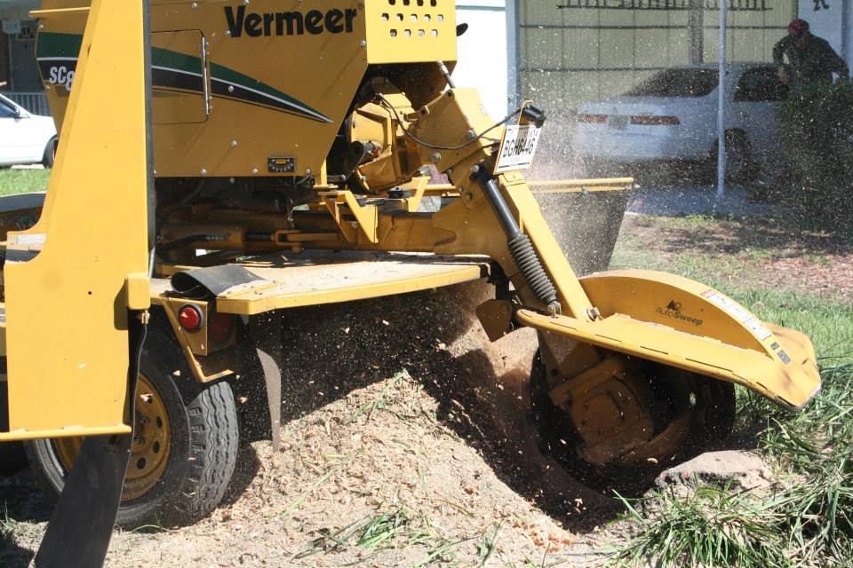 Stump Grinding — Sorrento, FL — Windsor & Son Tree Service