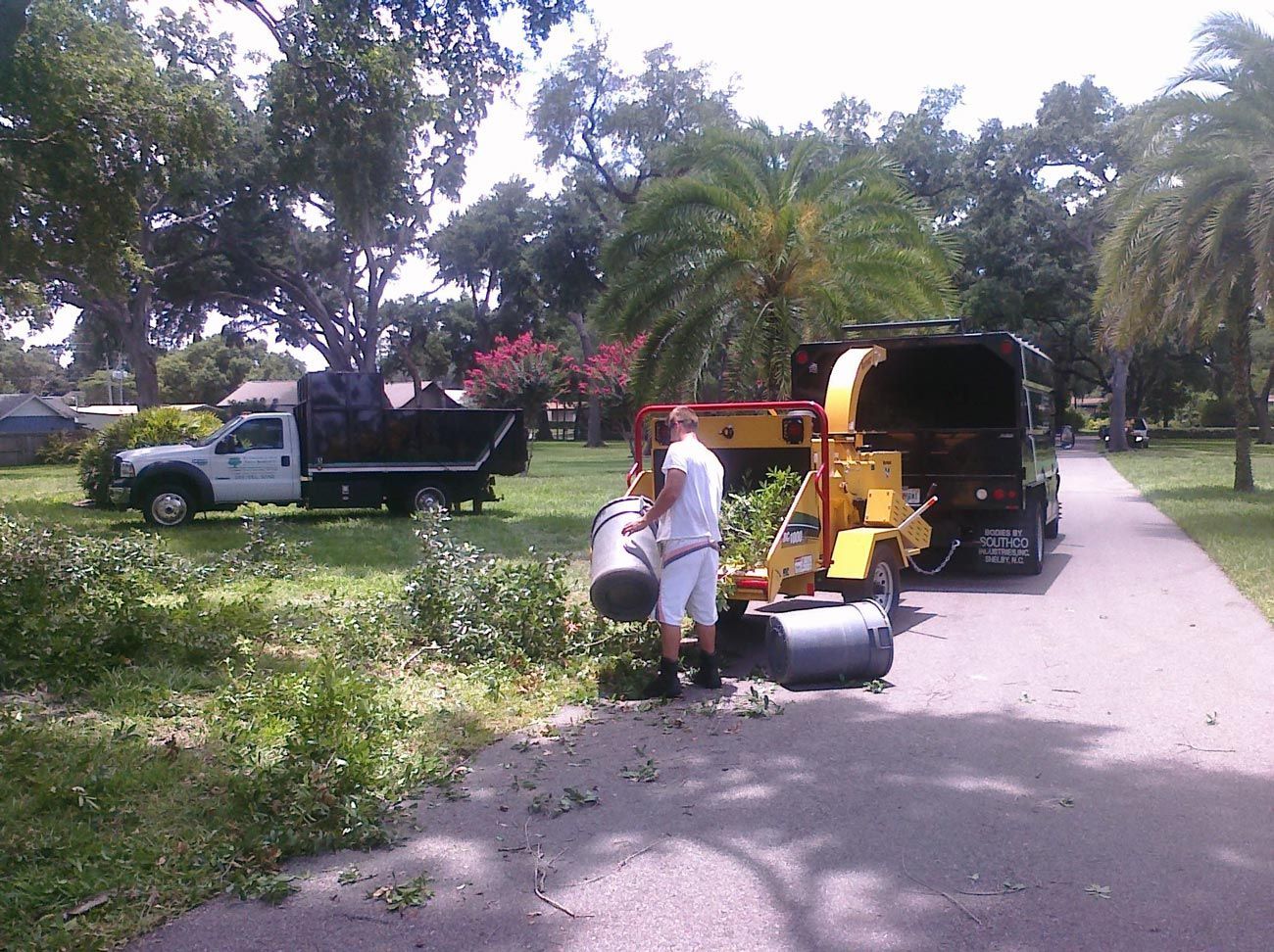 Small Tree Branches Chipping — Sorrento, FL — Windsor & Son Tree Service