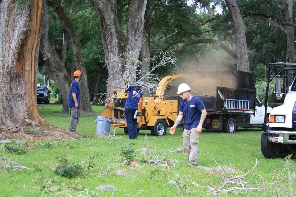 Men Placing Branches On Wood Chipper — Sorrento, FL — Windsor & Son Tree Service