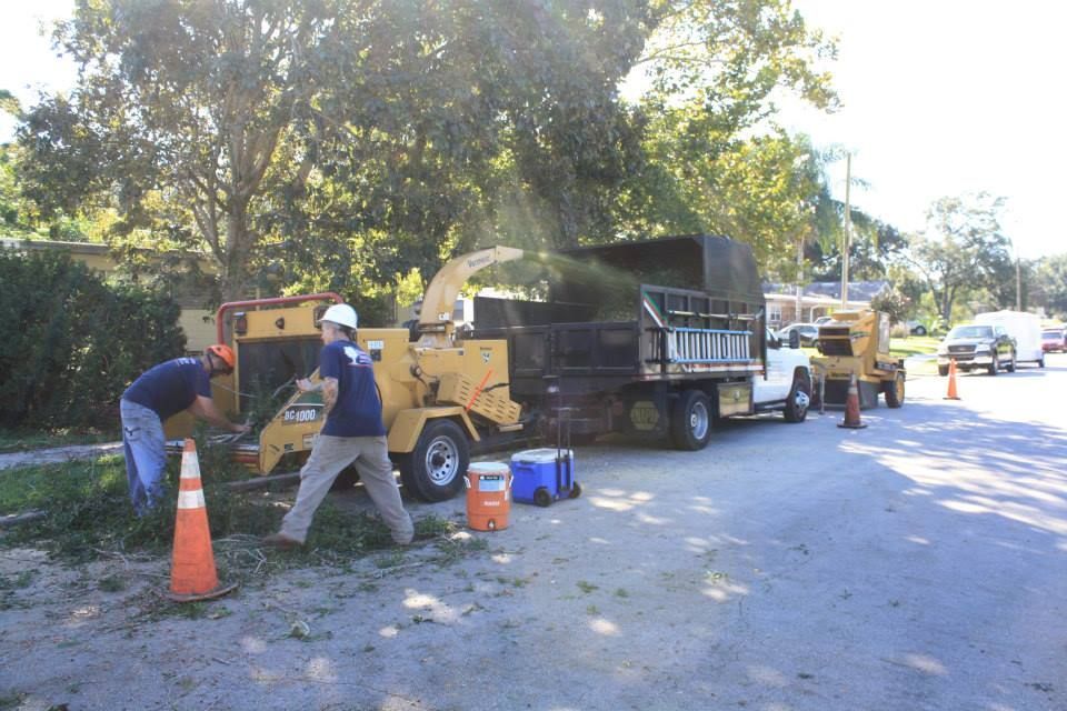 Tree Branch Chipping — Sorrento, FL — Windsor & Son Tree Service