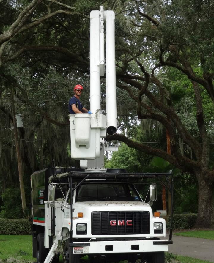 Man Cabling — Sorrento, FL — Windsor & Son Tree Service