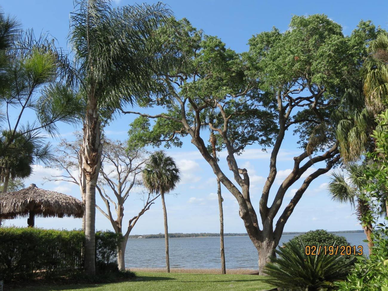Fertilization — Sorrento, FL — Windsor & Son Tree Service