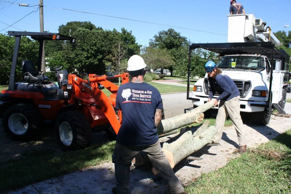 Men Placing Branches On Loader — Sorrento, FL — Windsor & Son Tree Service