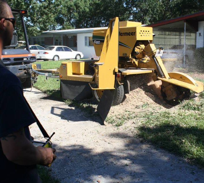 Man Stump Grinding — Sorrento, FL — Windsor & Son Tree Service