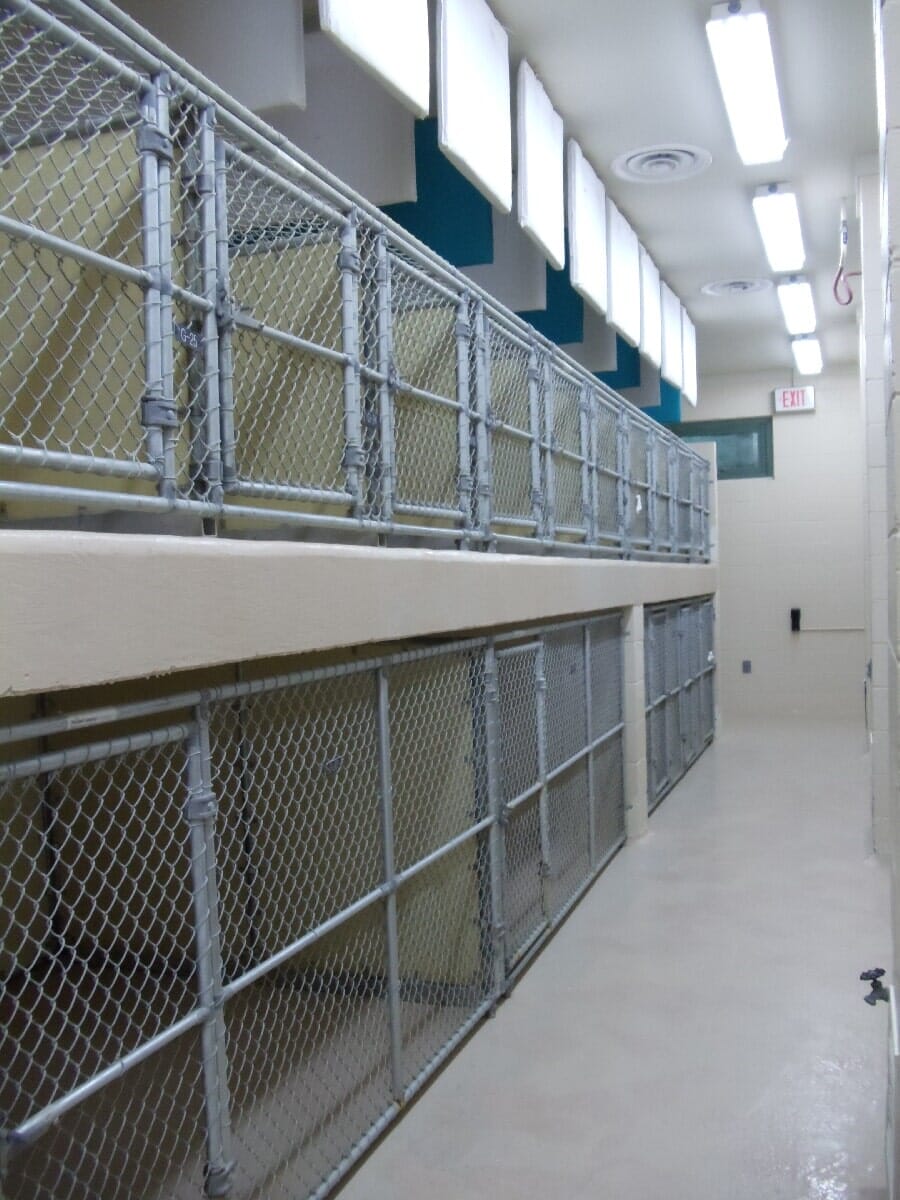 Before Animal Shelter Renovation #6 — Chester, VA — ARW Contracting, Inc.
