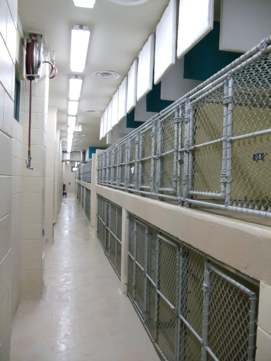 Before Animal Shelter Renovation #7 — Chester, VA — ARW Contracting, Inc.