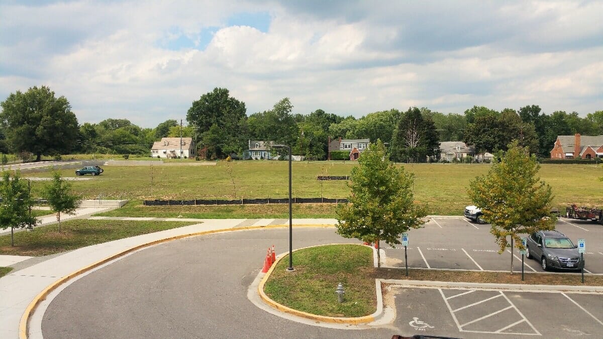 Best View of Trees — Chester, VA — ARW Contracting, Inc.