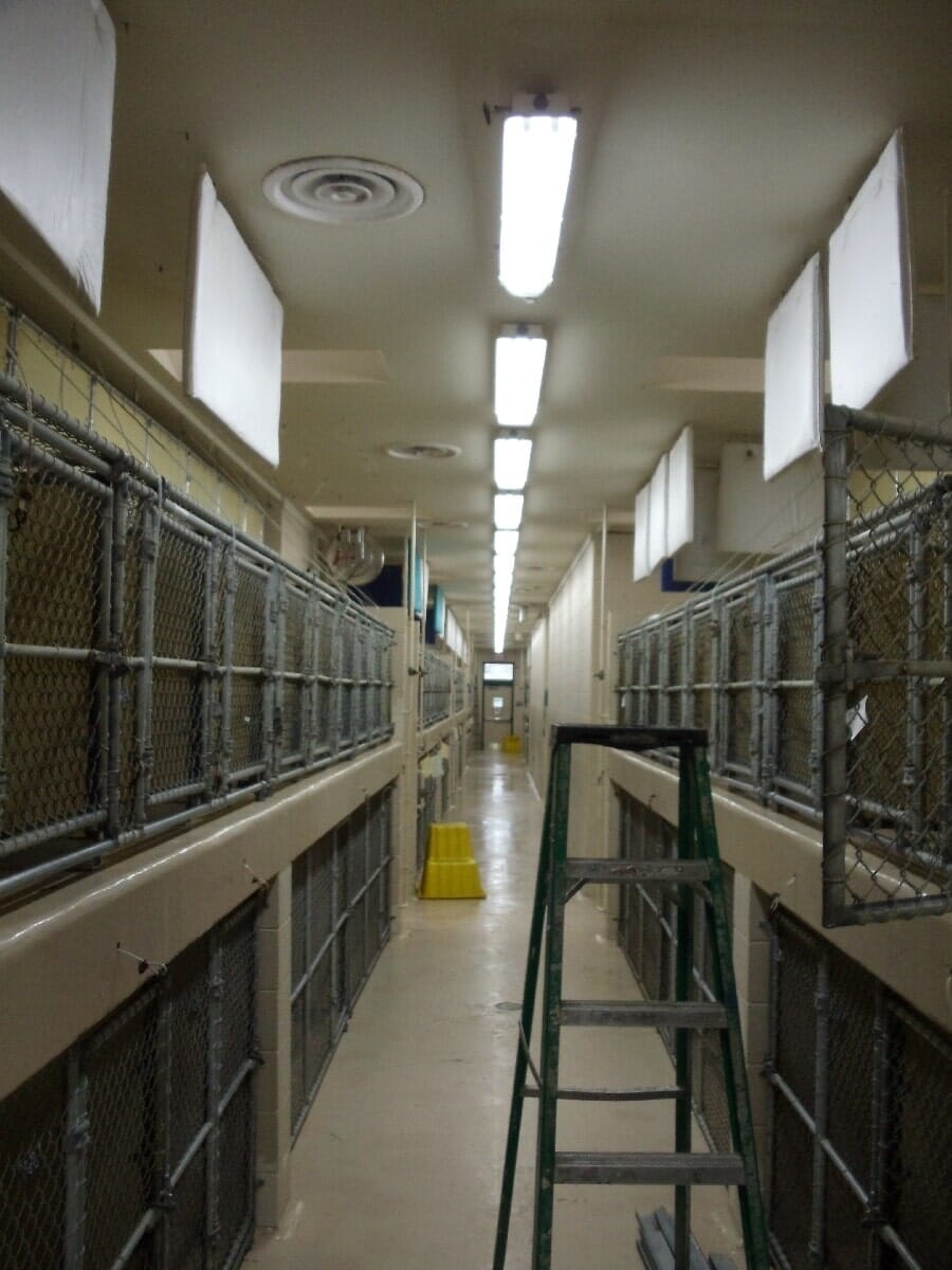 Before Animal Shelter Renovation — Chester, VA — ARW Contracting, Inc.