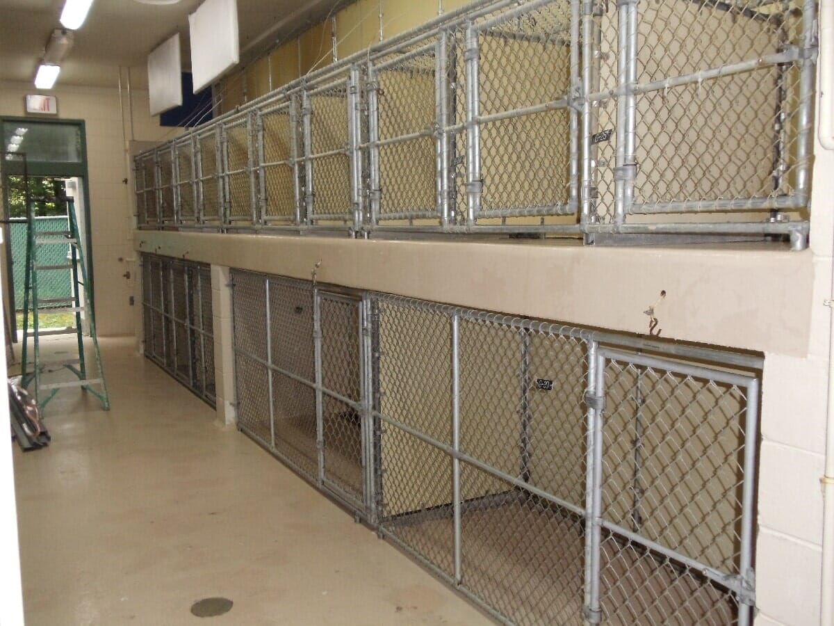 Before Animal Shelter Renovation #1 — Chester, VA — ARW Contracting, Inc.