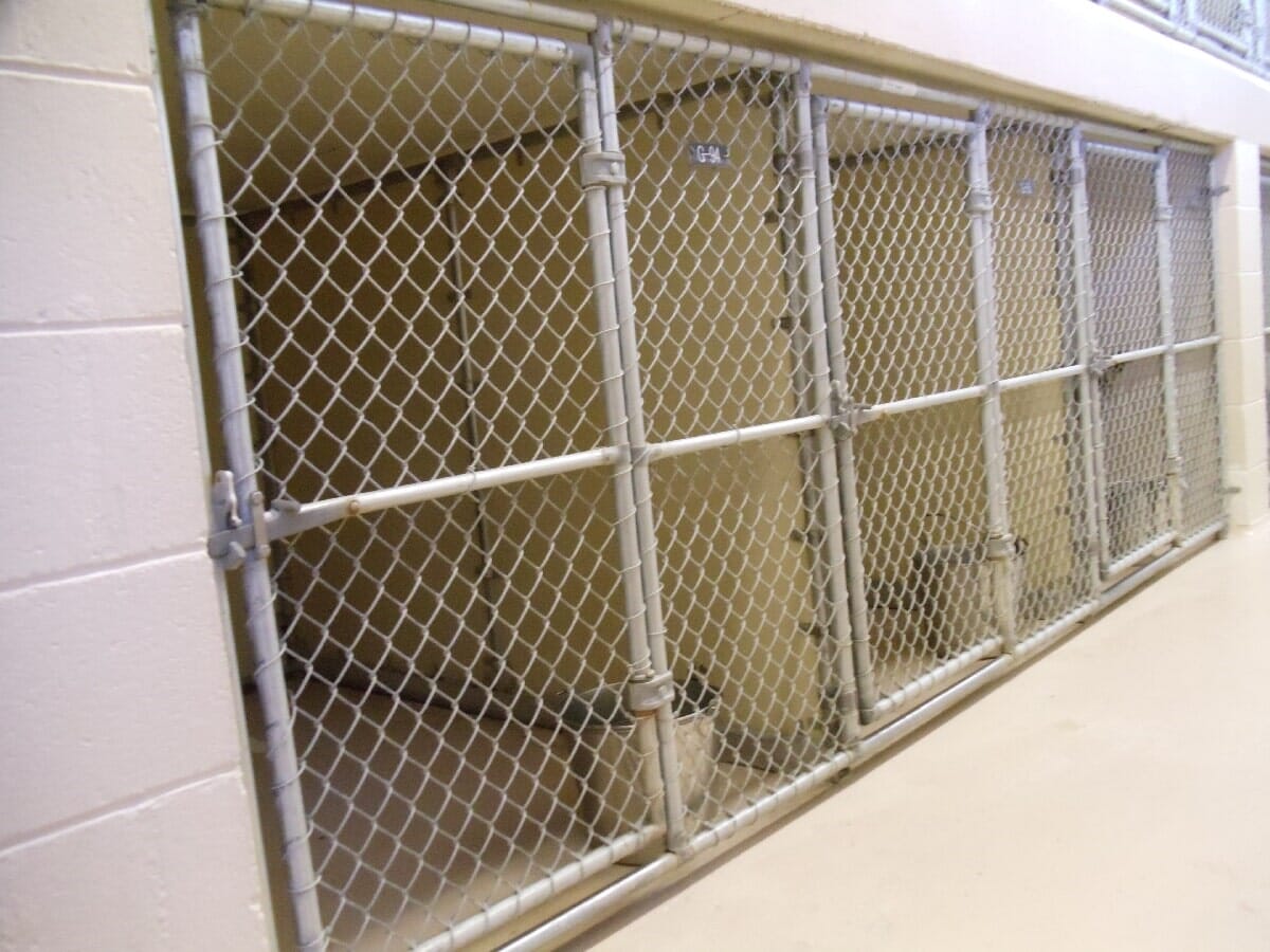 Before Animal Shelter Renovation #3 — Chester, VA — ARW Contracting, Inc.