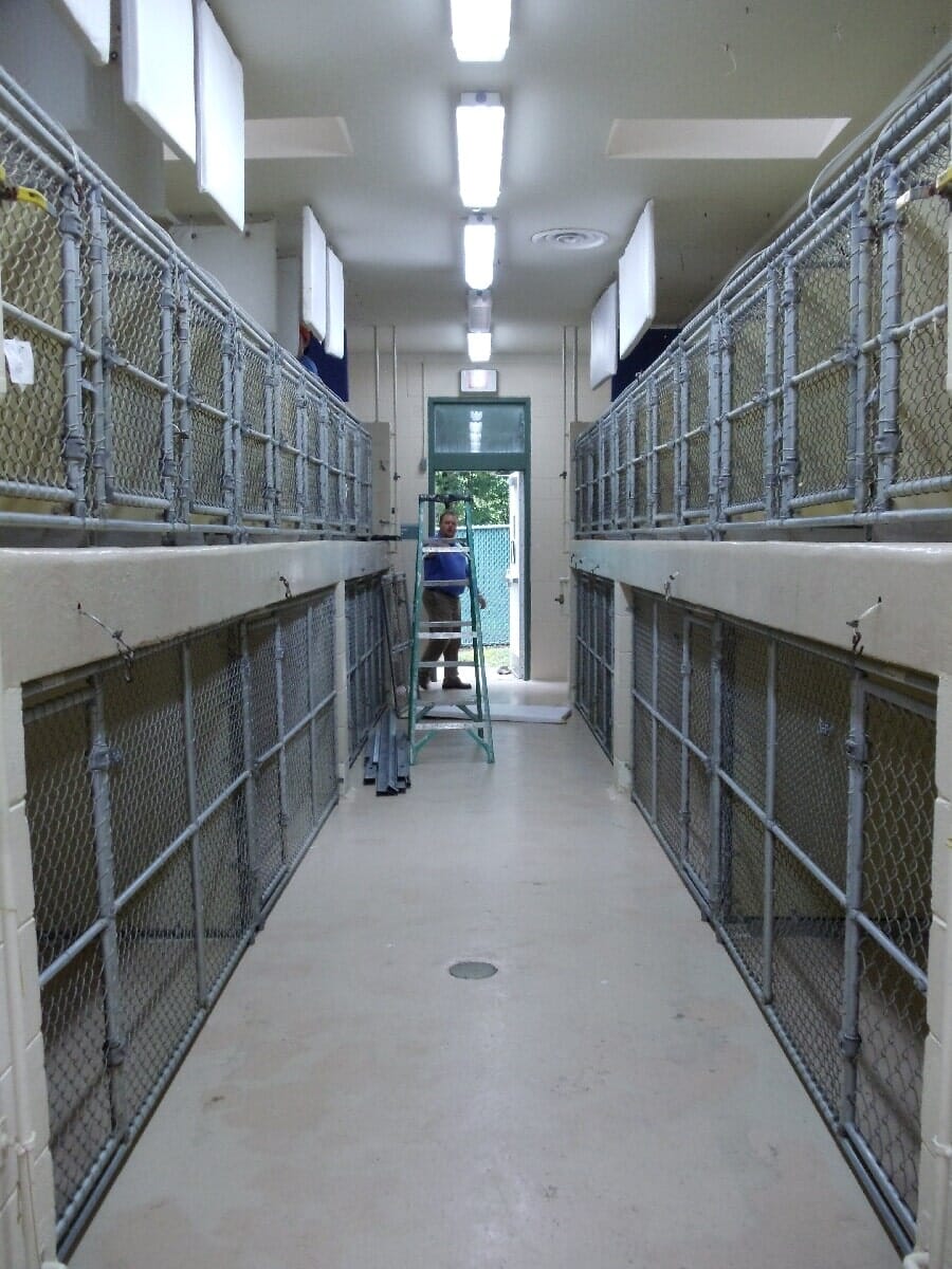 Before Animal Shelter Renovation #5 — Chester, VA — ARW Contracting, Inc.