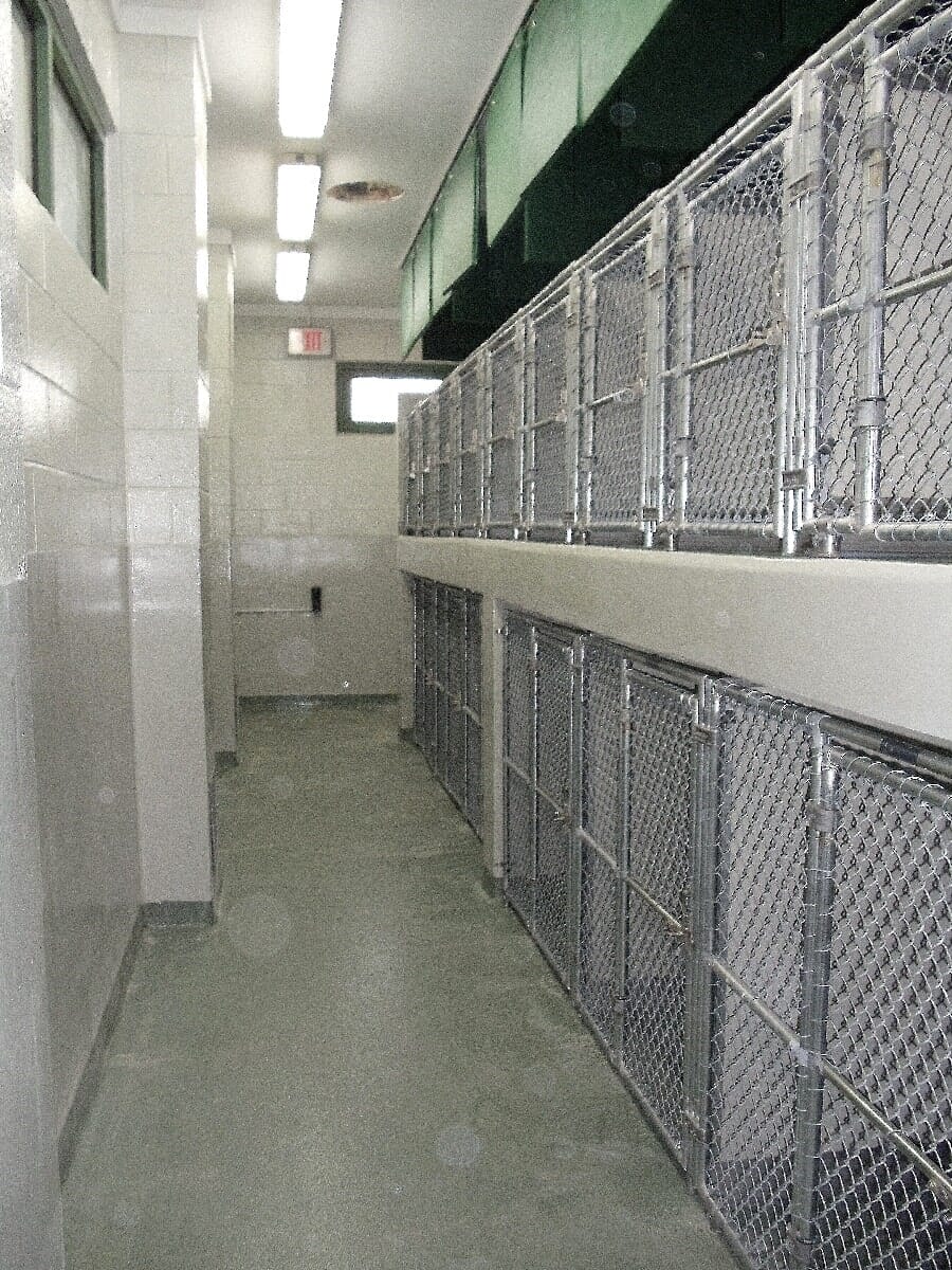 After Animal Shelter Renovation #2 — Chester, VA — ARW Contracting, Inc.