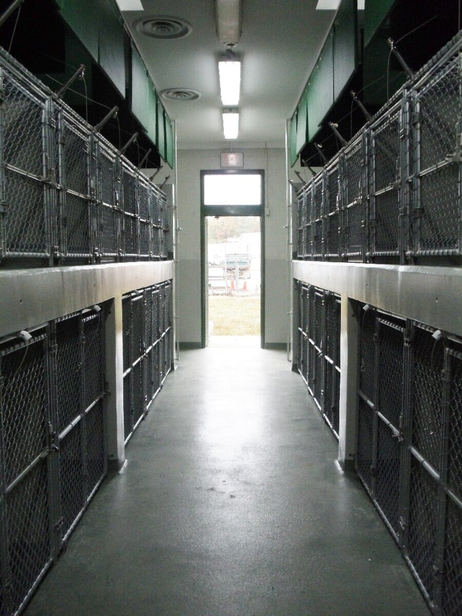 After Animal Shelter Renovation #3 — Chester, VA — ARW Contracting, Inc.