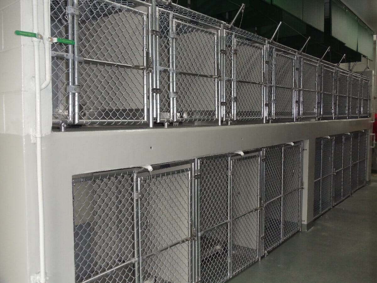 Animal Shelter Renovation