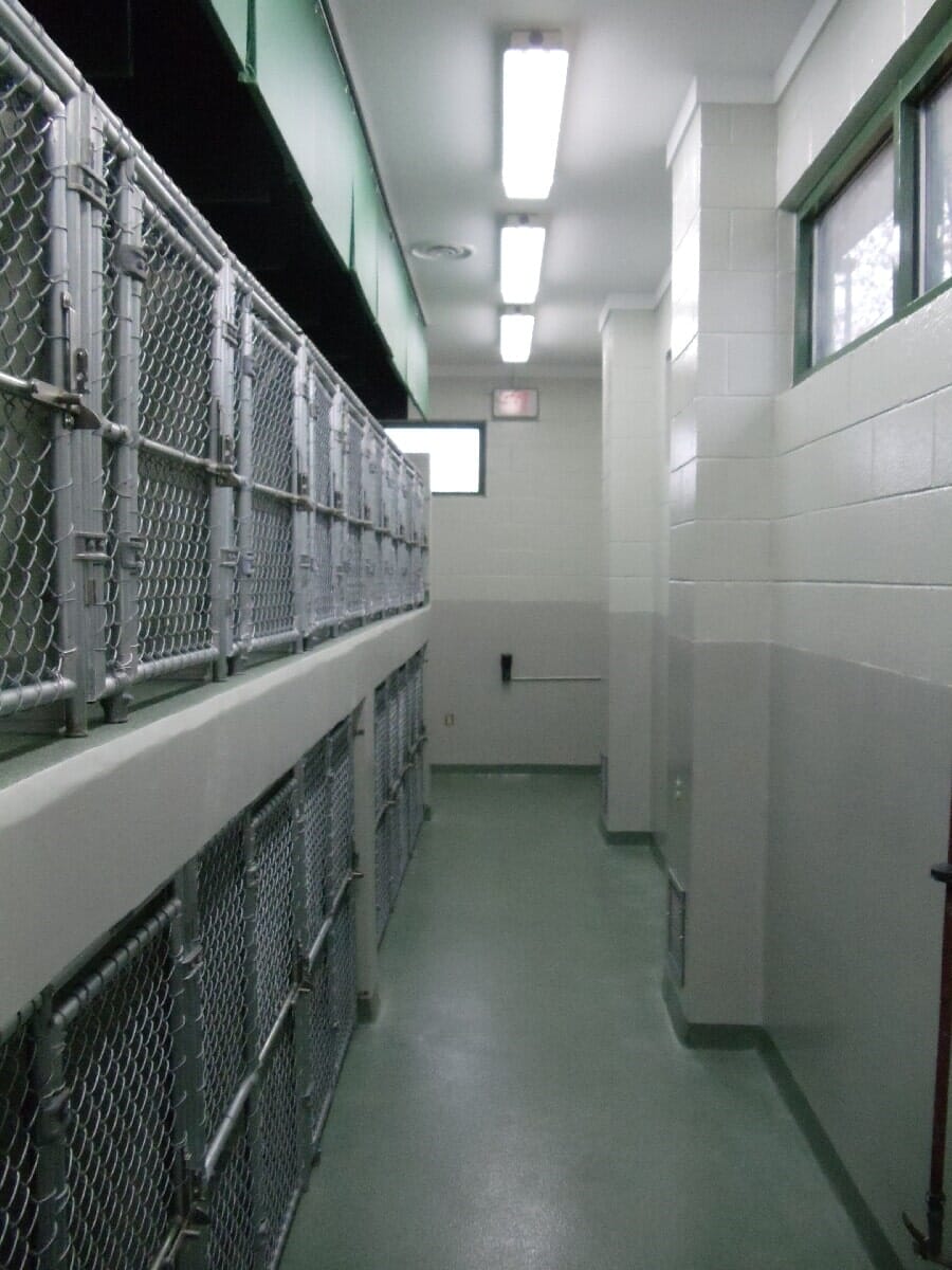 After Animal Shelter Renovation #5 — Chester, VA — ARW Contracting, Inc.