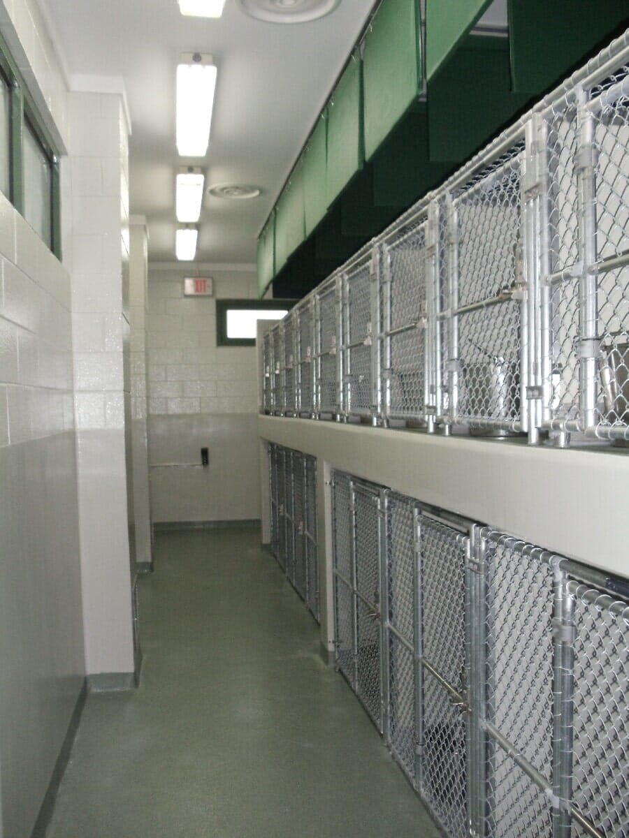 After Animal Shelter Renovation #6 — Chester, VA — ARW Contracting, Inc.