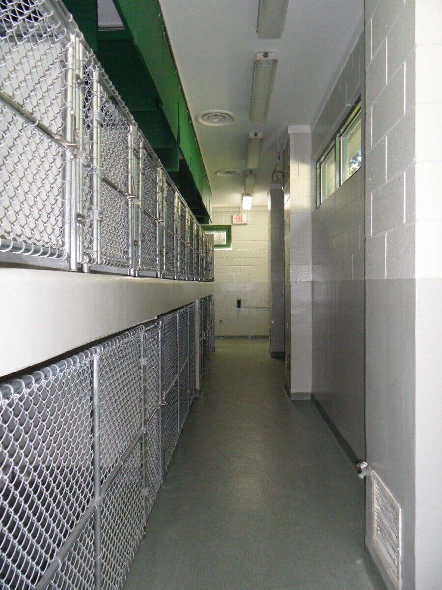 After Animal Shelter Renovation #8 — Chester, VA — ARW Contracting, Inc.