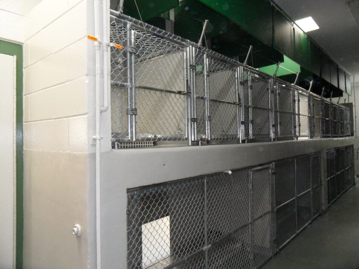 After Animal Shelter Renovation #10 — Chester, VA — ARW Contracting, Inc.