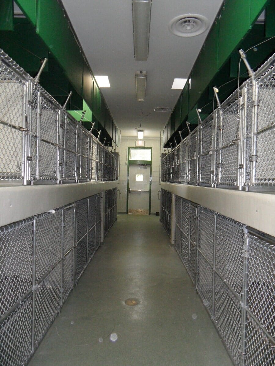 After Animal Shelter Renovation #11 — Chester, VA — ARW Contracting, Inc.