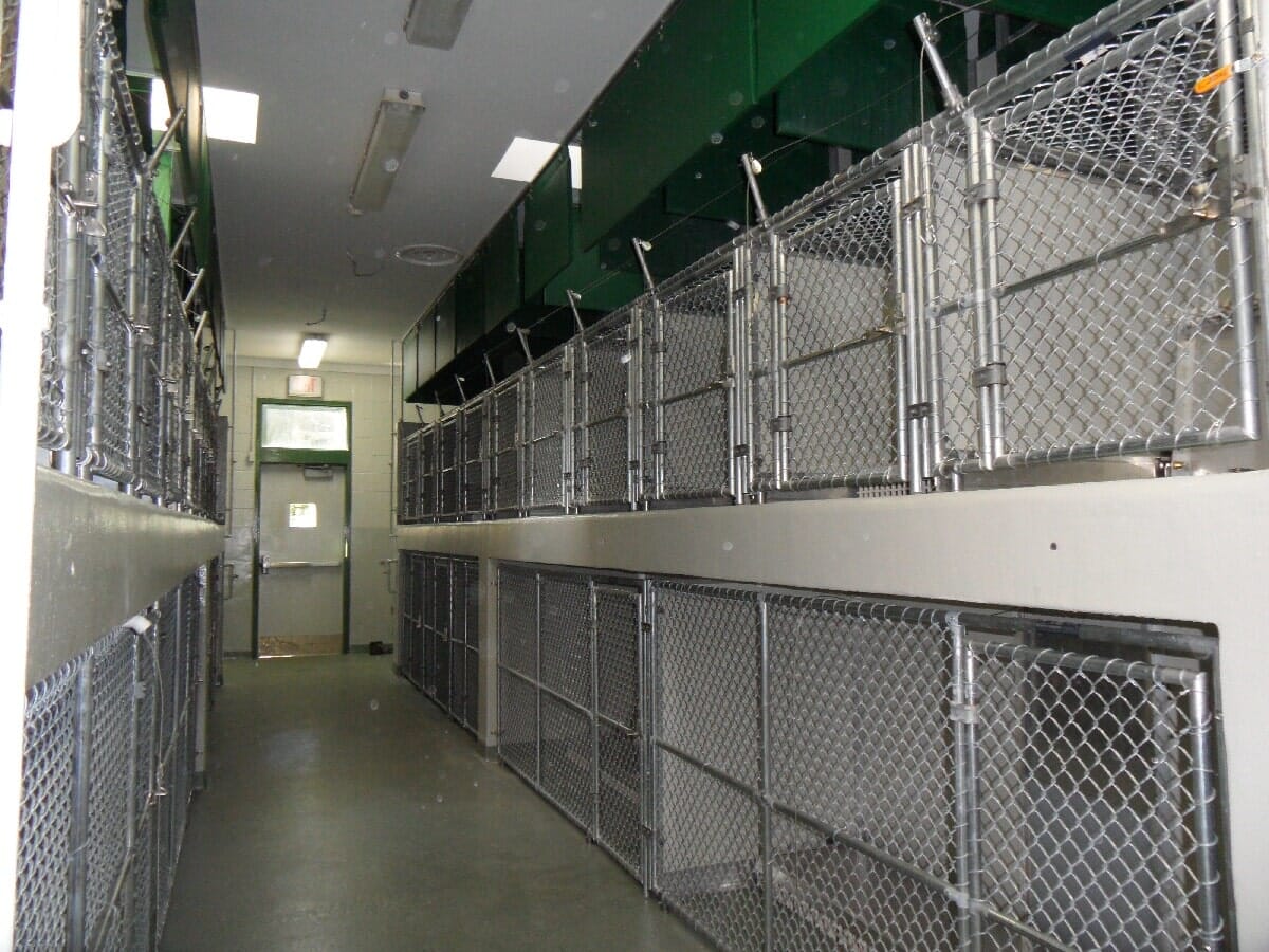 After Animal Shelter Renovation #12 — Chester, VA — ARW Contracting, Inc.