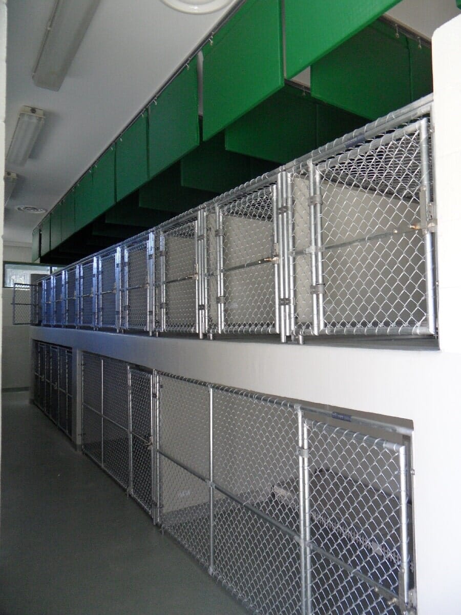 After Animal Shelter Renovation #13 — Chester, VA — ARW Contracting, Inc.
