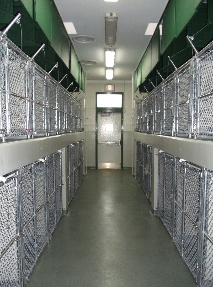 After Animal Shelter Renovation #14 — Chester, VA — ARW Contracting, Inc.