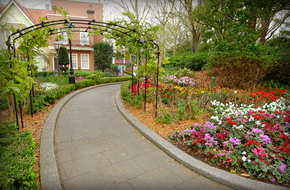 Garden path with a floral perimeter
