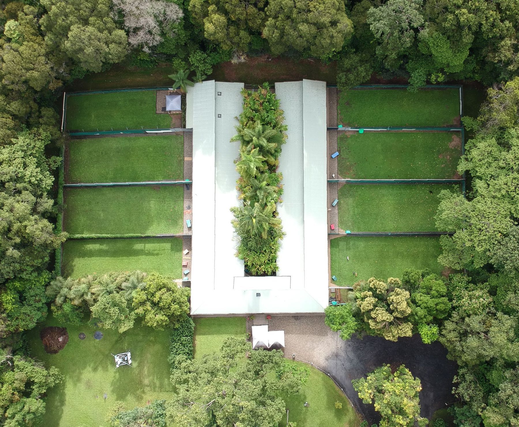 Preparing Cat for Surgery — Pet Resort in Kuranda, QLD