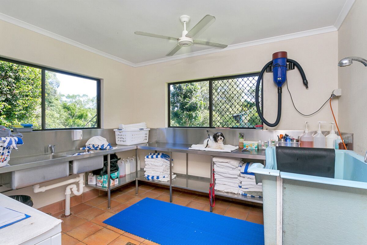 Grooming Dog — Pet Resort in Kuranda, QLD