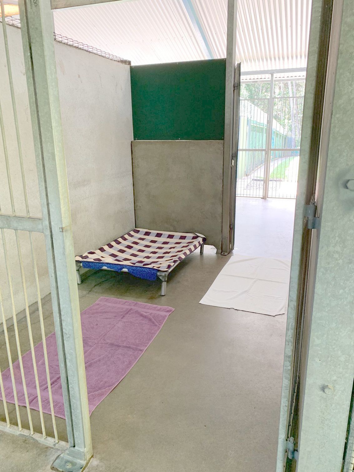 Inside the Pet Resort — Pet Resort in Kuranda, QLD