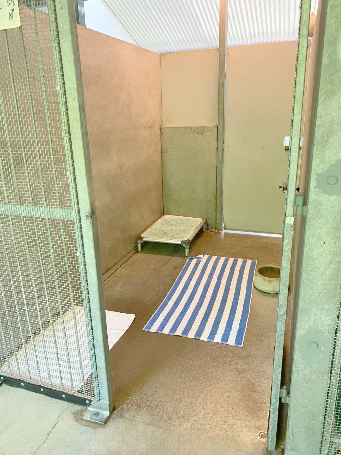 Dog Bathing - Pet Resort in Cairns