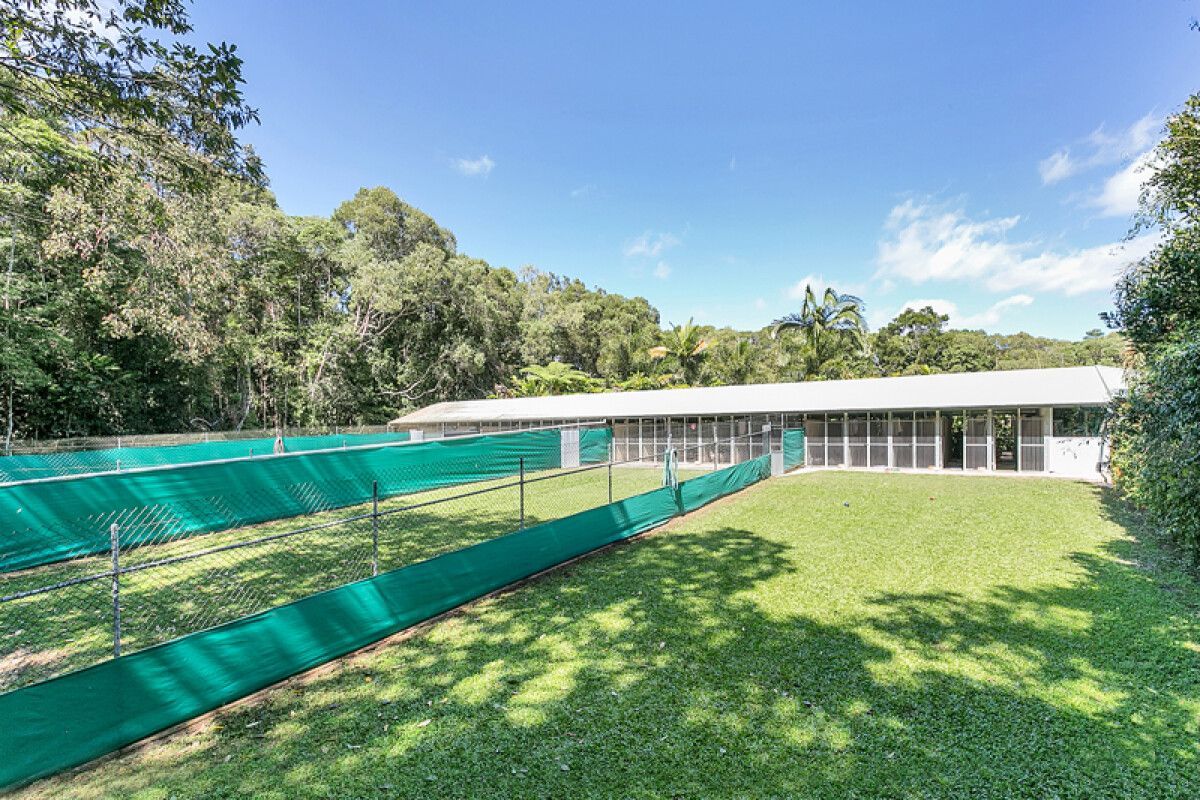Three Little Brown Poodles — Pet Resort in Kuranda, QLD