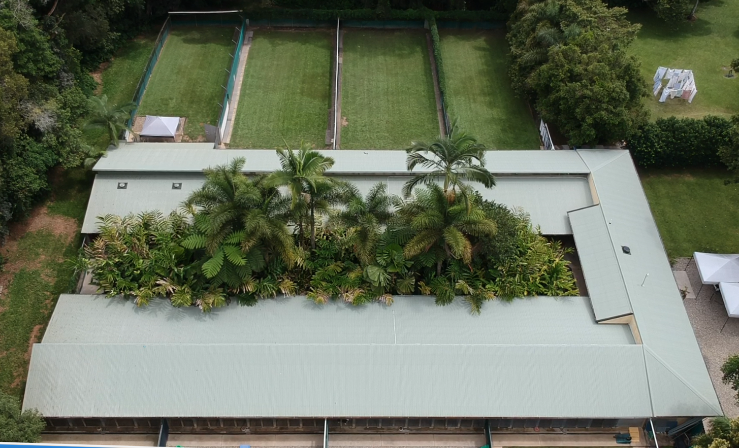 Dog Ultrasound — Pet Resort in Kuranda, QLD