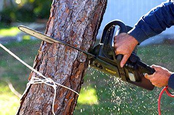 Electric Chainsaw to Cut Down a Tree — Franklin, IN — Brown’s Tree Service