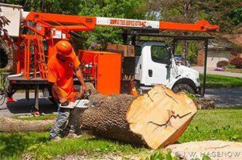 Tree Removal Using Chainsaw — Franklin, IN — Brown’s Tree Service, LLC