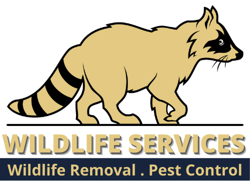 Wildlife Exclusion Services - AAAC Wildlife Removal of Mobile