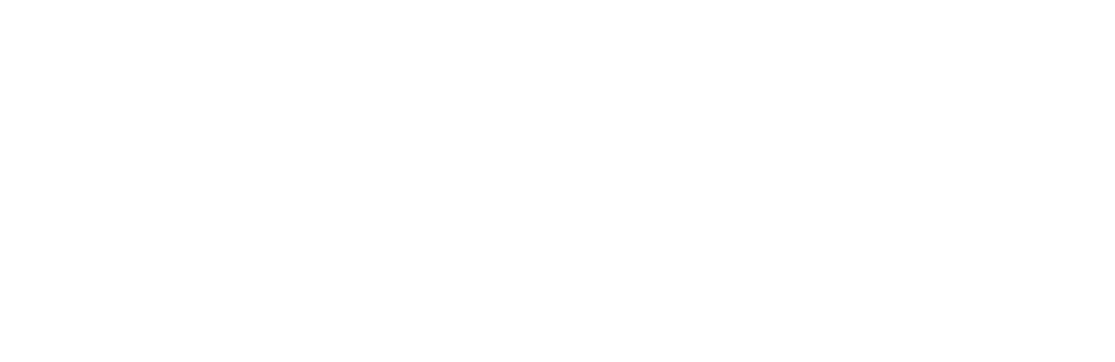 NSSRA Logo - White 