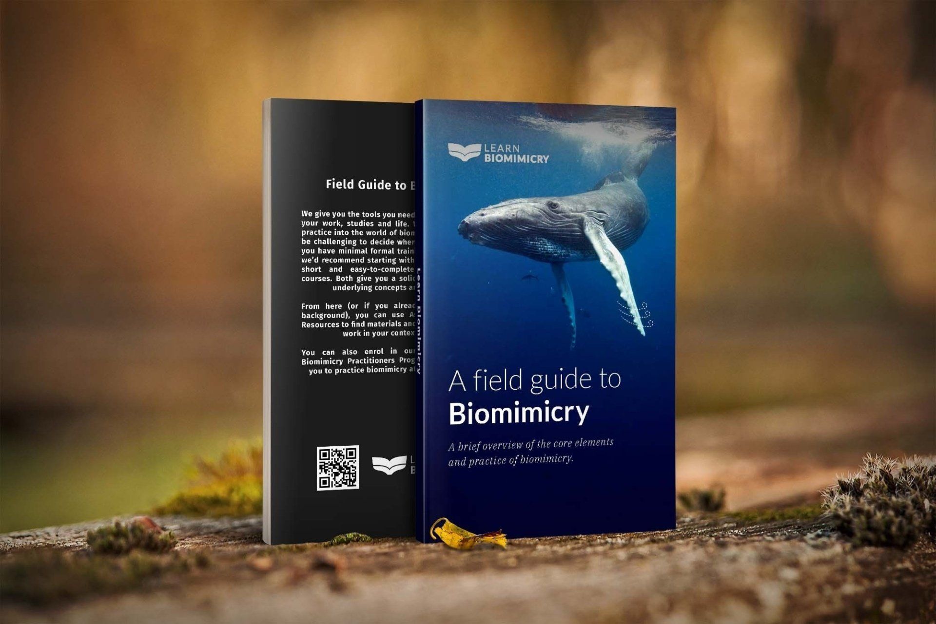 Learn Biomimicry Books