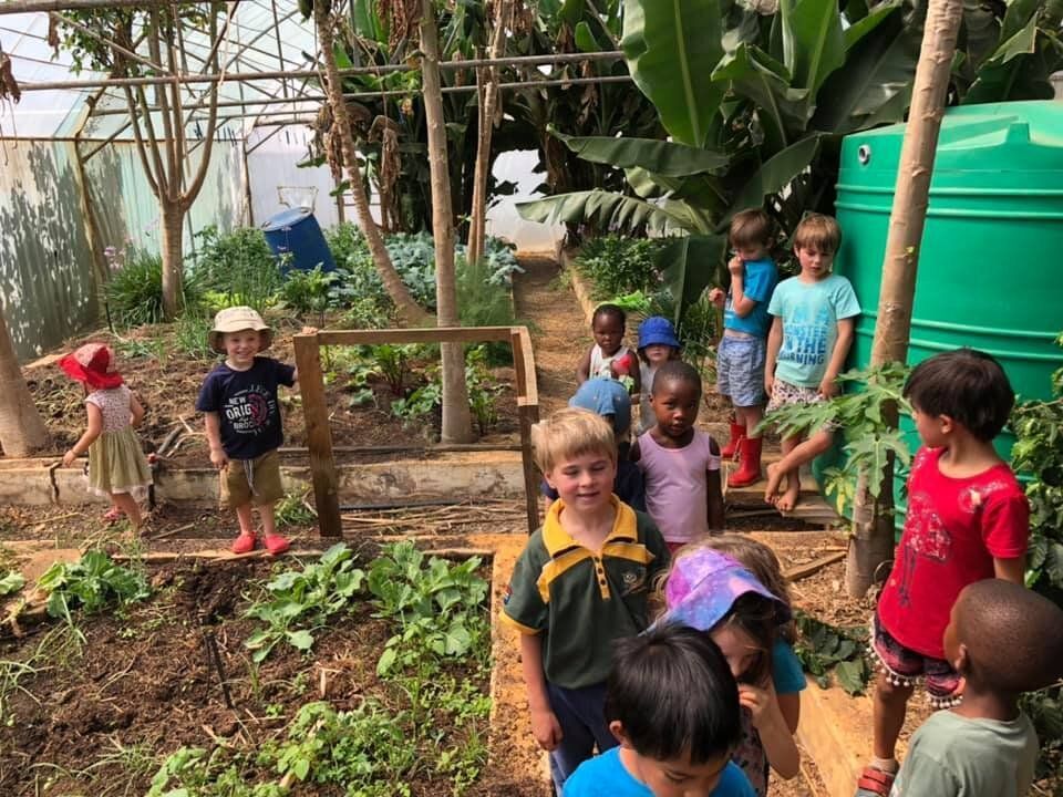 Children standing in a vegetable garden at Misty Meadows School