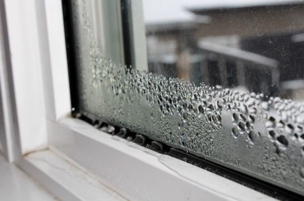 Condensation damp in Bournemouth