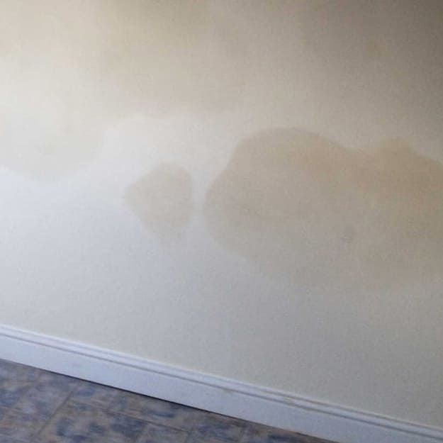 Damp solution's Bournemouth