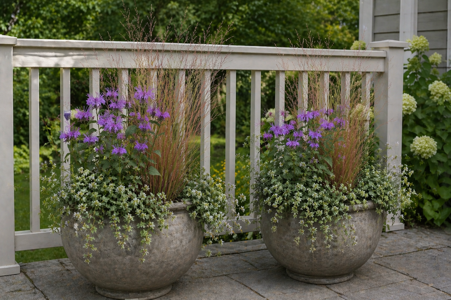 The Sunny Space Guide