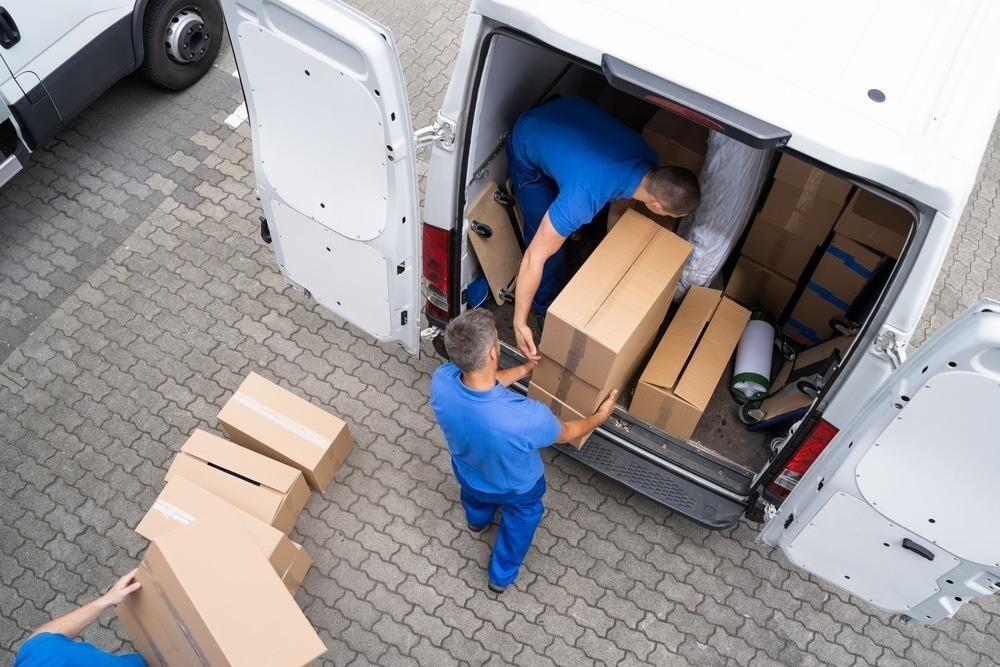 A couple of men are loading boxes — Easy Choice Removals and General Freight In Port Macquarie, NSW
