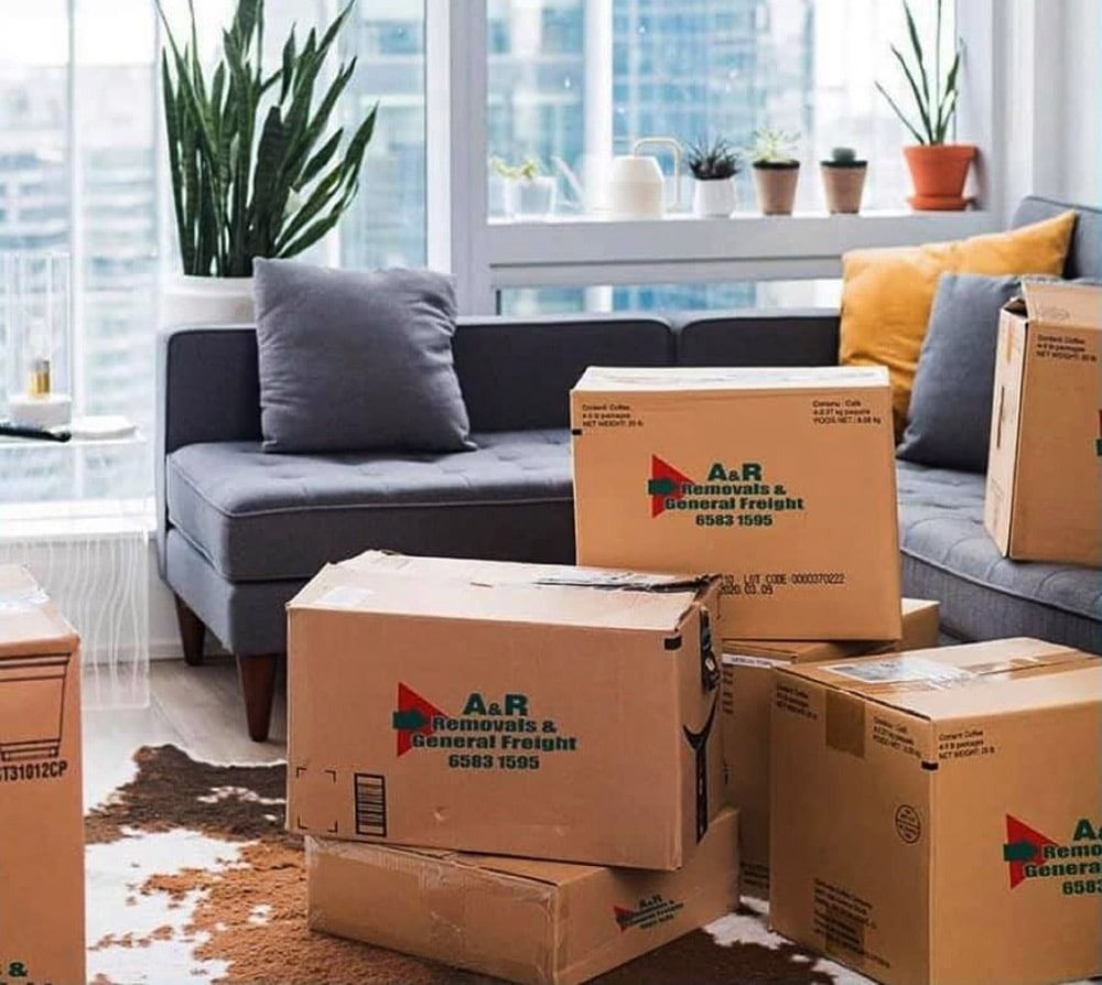A Living Room Filled With Cardboard Boxes and a Couch — Easy Choice Removals and General Freight In Port Macquarie, NSW