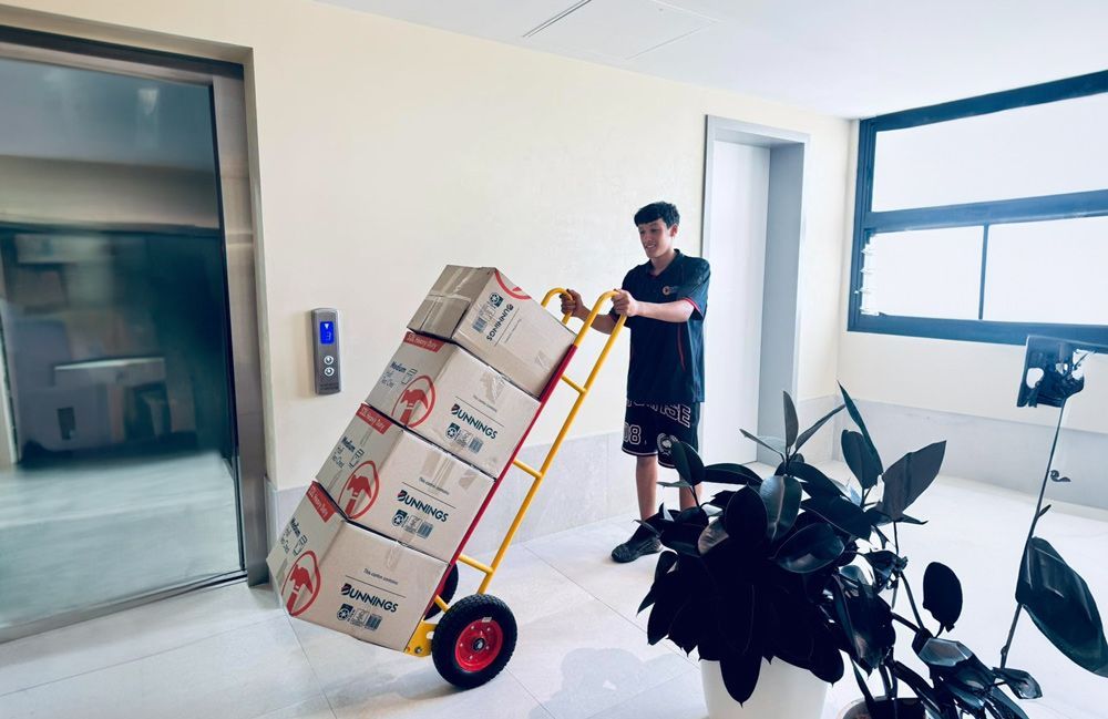 Removalists Moving Valuable Items In Maitland