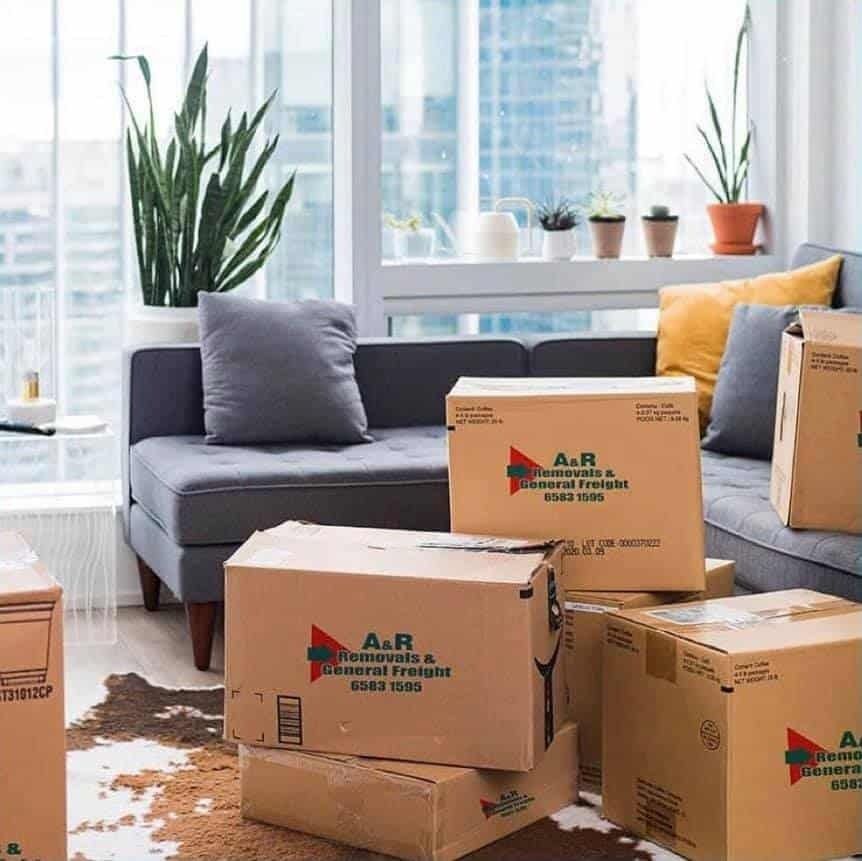A Living Room Filled With Moving Boxes and a Couch — Easy Choice Removals and General Freight In Port Macquarie, NSW