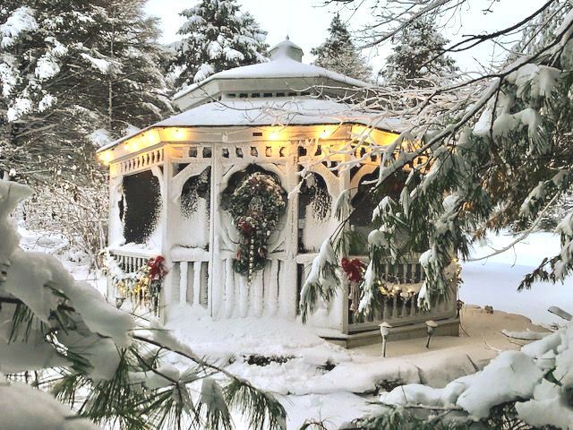 A gazebo is covered in snow and surrounded by trees.